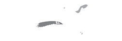 The Falcon Lady